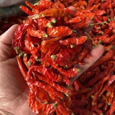 小米辣云南干小米辣500g泡椒小米辣干辣椒小米辣朝天椒云南小米辣图3