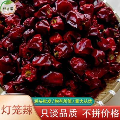 灯笼辣灯笼椒500g微辣香辣型干灯笼辣灯笼椒批发贵州干灯笼椒