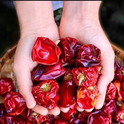 灯笼辣灯笼椒500g微辣香辣型干灯笼辣灯笼椒批发贵州干灯笼椒图3