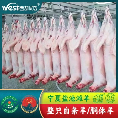商用批发宁夏盐池滩羊羔羊胴体白条羊-清真 火锅食材烧烤食材厂家