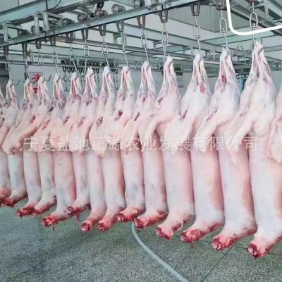 商用批发宁夏盐池滩羊羔羊胴体白条羊-清真 火锅食材烧烤食材厂家图3