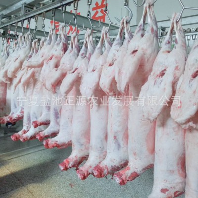 商用批发宁夏盐池滩羊羔羊胴体白条羊-清真 火锅食材烧烤食材厂家图4