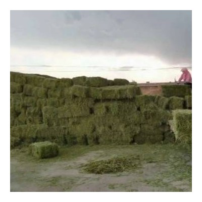 苜蓿草草捆燕麦草草捆干草草捆大捆小捆草块草料牛羊马牧草饲料图3