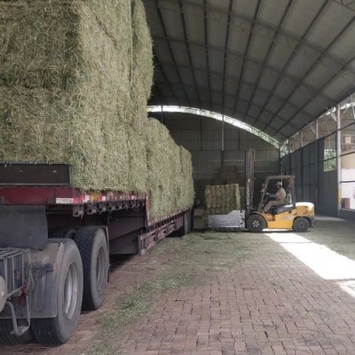 苜蓿草草捆燕麦草草捆干草草捆大捆小捆草块草料牛羊马牧草饲料图2