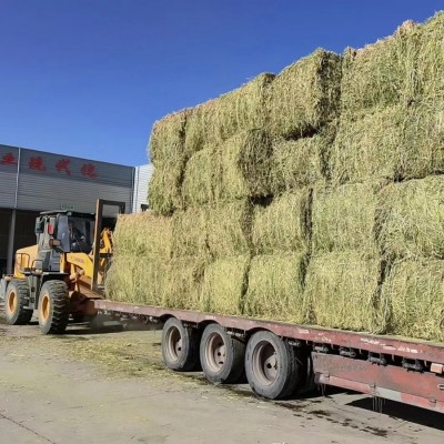 苜蓿草草捆燕麦草草捆干草草捆大捆小捆草块草料牛羊马牧草饲料图4