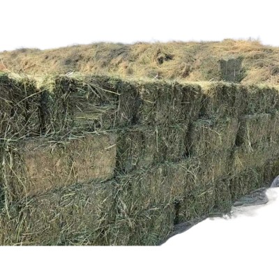 新草燕麦草牦牛草羊草牧草草料马场草饲料牛羊草料青干草草捆草块图5