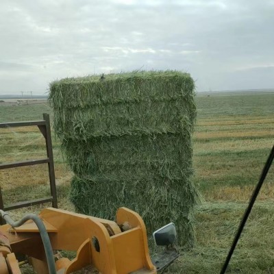 苜蓿草颗粒牛羊马动物园专用饲草紫花苜蓿草颗粒80斤厂家现货包邮图3