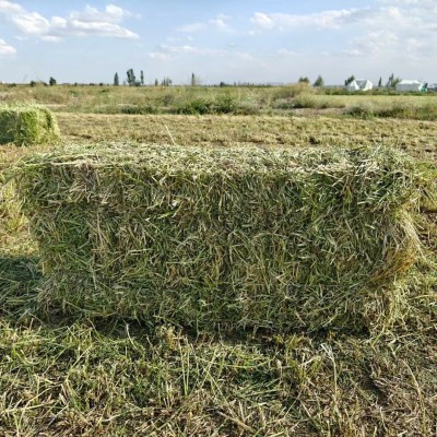 苜蓿草颗粒牛羊马动物园专用饲草紫花苜蓿草颗粒80斤厂家现货包邮图5