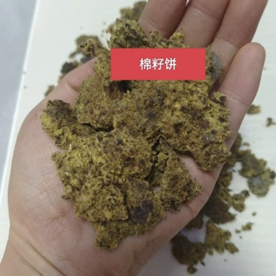 供应棉饼全脂棉籽饼饲料级兽用养殖牛羊育肥饲料棉籽粕有机肥料