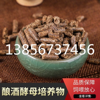 厂家直销酿酒酵母 量大从优 支持定制 颗粒状酿酒酵母培养物