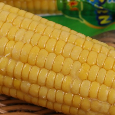 黄糯玉米棒真空包装200克单穗盒装玉米棒甜糯批发真空锁鲜图2