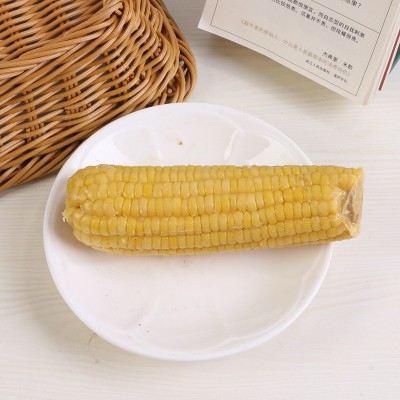 黄糯玉米棒真空包装200克单穗盒装玉米棒甜糯批发真空锁鲜