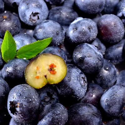 顺丰云南高山花香蓝莓大果头茬鲜果L5花香蓝莓水果当应季整箱包邮图2