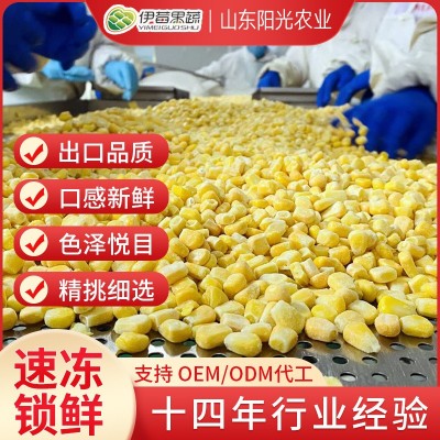 出口品质欧美专供 速冻甜玉米粒1吨起批源头厂家商用拌饭水饺沙拉