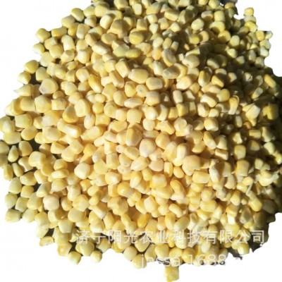 出口品质欧美专供 速冻甜玉米粒1吨起批源头厂家商用拌饭水饺沙拉图5
