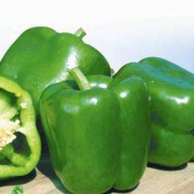 厂家批发产地直供新鲜青椒2kg礼盒装饱满圆润家庭菜肴辅食蔬菜椒图4