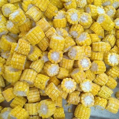 速冻甜玉米段 冷冻玉米段 水果玉米 冷冻蔬菜玉米段营养锁鲜急冻图2