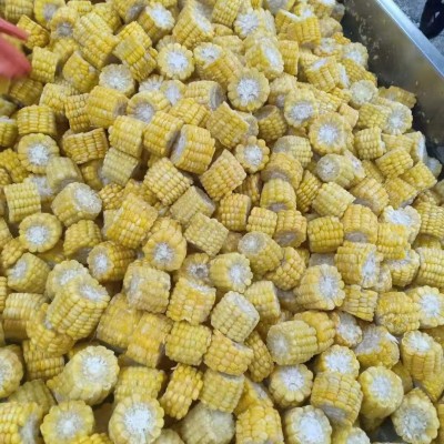 速冻甜玉米段 冷冻玉米段 水果玉米 冷冻蔬菜玉米段营养锁鲜急冻图3