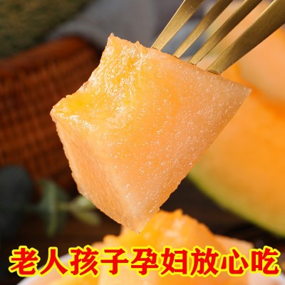 海南哈密瓜 3/5/9斤新鲜佛罗水果蜜瓜25号甜瓜西州蜜一件代发整箱图4