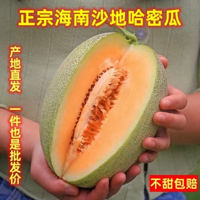 海南哈密瓜 3/5/9斤新鲜佛罗水果蜜瓜25号甜瓜西州蜜一件代发整箱