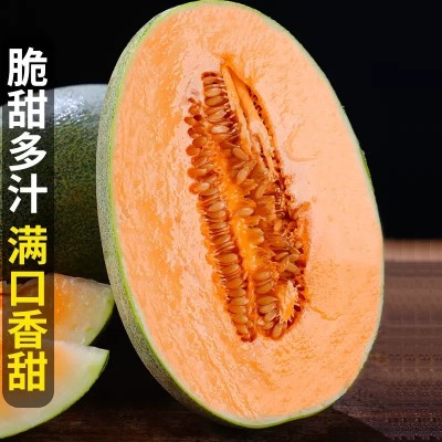 海南哈密瓜 3/5/9斤新鲜佛罗水果蜜瓜25号甜瓜西州蜜一件代发整箱图2