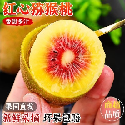 四川蒲江红心猕猴桃5斤奇异果新鲜当季现摘孕妇水果整箱一件代发