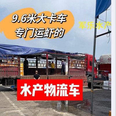 湖北洪湖鲜活小龙虾批发50斤 水产市场商用678钱大青活体青壳活虾图3