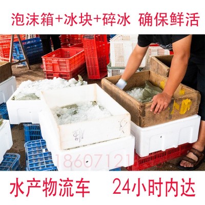 鲜活水产湖北清水小龙虾稻田虾餐馆商用 活龙虾批发678钱大青红虾图3