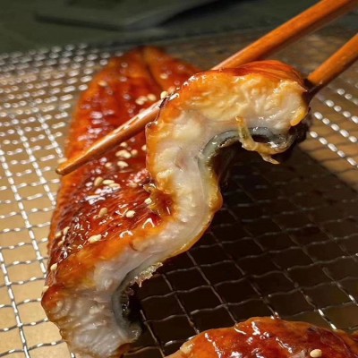 日本料理寿司蒲烧鳗鱼 烤鳗鱼蒲烧烤鳗腌制海鲜水产 5KG厂家批发