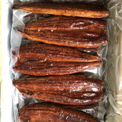 日本料理寿司蒲烧鳗鱼 烤鳗鱼蒲烧烤鳗腌制海鲜水产 5KG厂家批发图3