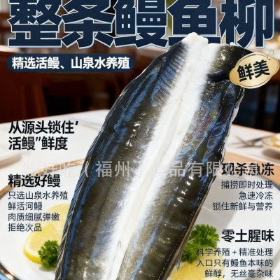 活杀鳗鱼柳 生鳗片 碳烤专用 烤肉店 烧鸟专用 新鲜鳗鱼厂家直销图5