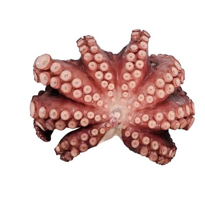 新鲜八爪鱼水产漂烫大真章爆头海鲜火锅鲜活章鱼烧短腿八爪鱼