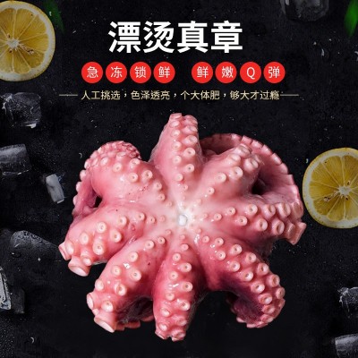 新鲜八爪鱼水产漂烫大真章爆头海鲜火锅鲜活章鱼烧短腿八爪鱼图5