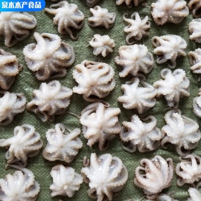 鲜活冷冻海鲜迷你小章鱼盐磨八爪鱼 水产短腿刺身翻花爆头小章鱼图4