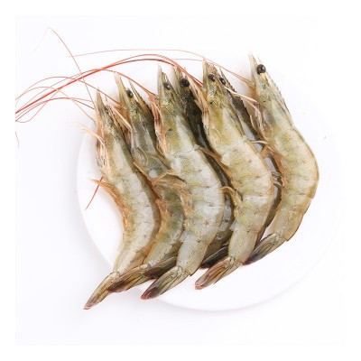 鲜活大虾无冰厄瓜多尔白虾生鲜冻品南美白对虾青虾基围虾海鲜水产