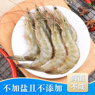 鲜活大虾无冰厄瓜多尔白虾生鲜冻品南美白对虾青虾基围虾海鲜水产图3