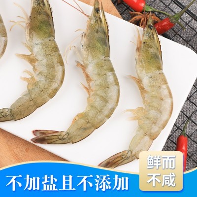 鲜活大虾无冰厄瓜多尔白虾生鲜冻品南美白对虾青虾基围虾海鲜水产图2