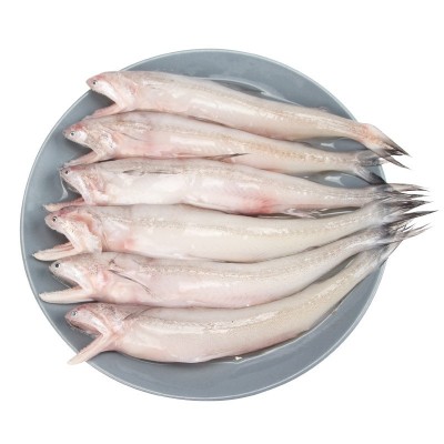 当季新鲜冷冻龙头鱼豆腐鱼九肚鱼水潺批发烧烤食材顺丰包邮