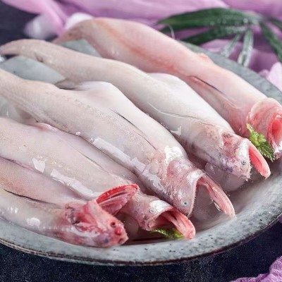 当季新鲜冷冻龙头鱼豆腐鱼九肚鱼水潺批发烧烤食材顺丰包邮图4