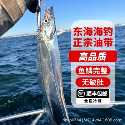 新鲜冷冻海钓带鱼小眼睛钓带海鲜整条东海带鱼3斤可一件代发图4