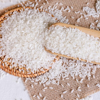 25年新米五常长粒香米现磨现发东北大米真空五斤产地直发五常大米图3