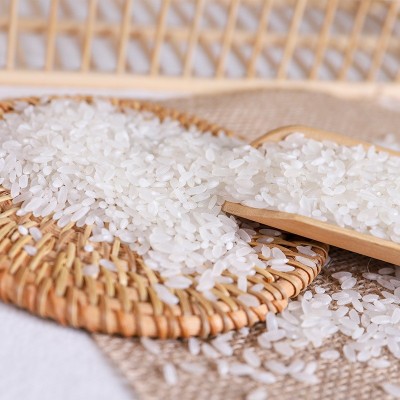 25年新米五常长粒香米现磨现发东北大米真空五斤产地直发五常大米图4