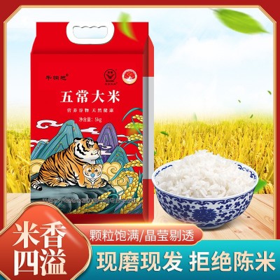 新米长粒香米现磨现发东北长粒大米真空五斤十斤产地直发五常大米图5