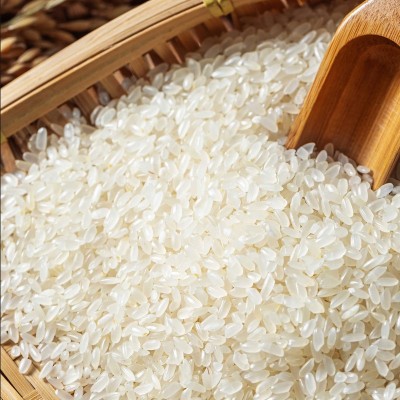 五常大米GB/T19266真空十斤新米长粒香米现磨现发东北长粒大米图2