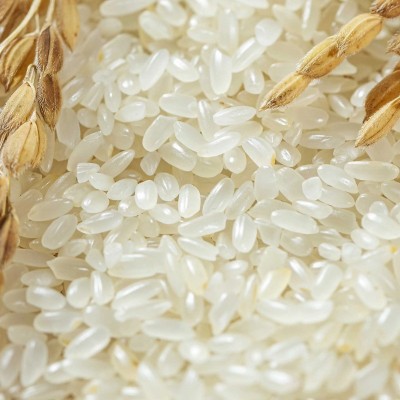 五常大米GB/T19266真空十斤新米长粒香米现磨现发东北长粒大米图3