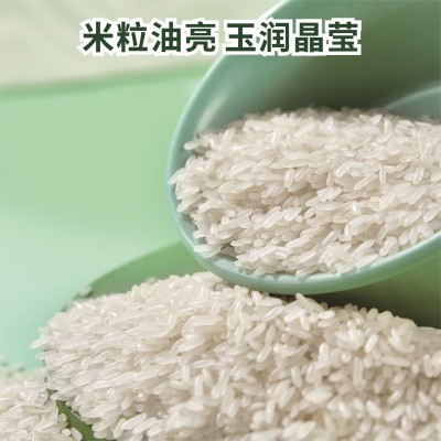 大米企业团购一件代发软香米5斤丝苗米长粒籼米手提小袋当季新米图4