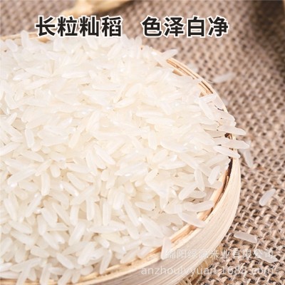 当季新米籼米长粒丝苗米5斤会销礼品2.5kg农产品粮油批发小袋米图4
