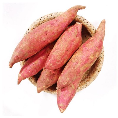 福建六鳌蜜薯 5/9斤农家新鲜现挖香甜糯沙地红番薯红苕地瓜批发