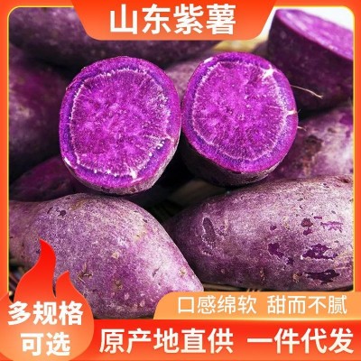 紫薯现挖当季新鲜当地农家沙地紫罗兰紫薯优选五谷杂粮批发图5