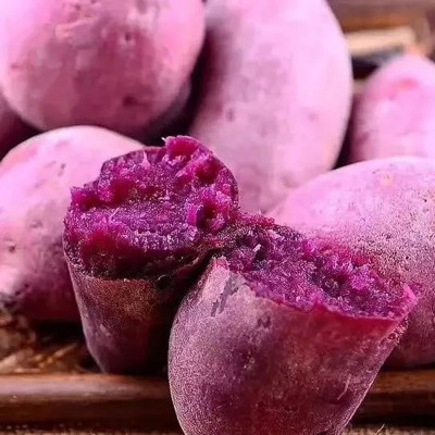 紫薯现挖当季新鲜当地农家沙地紫罗兰紫薯优选五谷杂粮批发图4